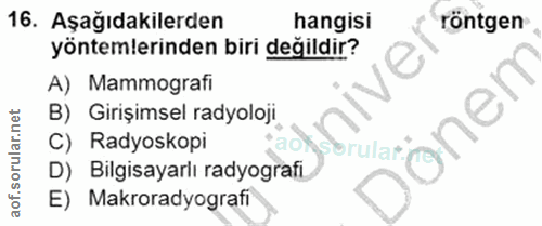 Soru 16