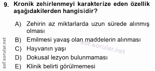 Soru 9