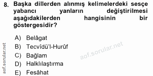 Soru 8