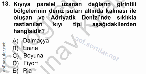 Soru 13