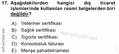 Soru 17