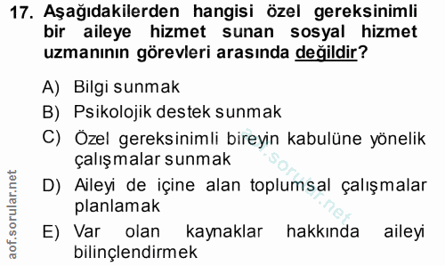 Soru 17