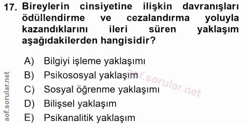 Soru 17