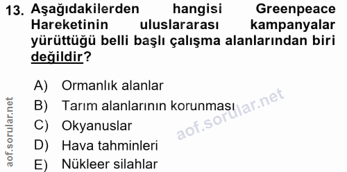 Soru 13