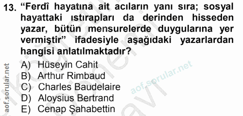 Soru 13