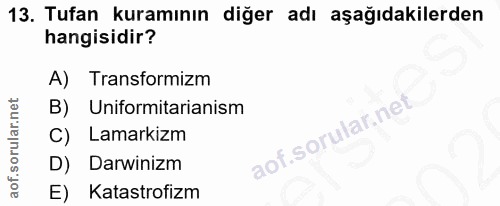 Soru 13