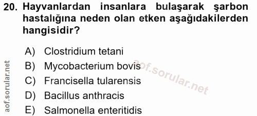 Soru 20