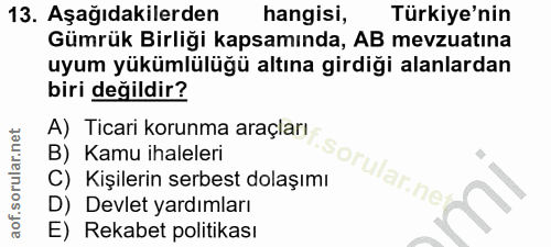 Soru 13