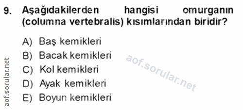 Soru 9
