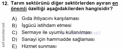 Soru 12