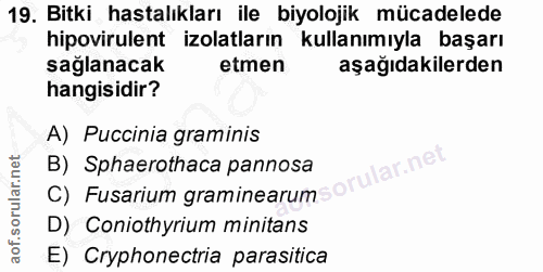 Soru 19