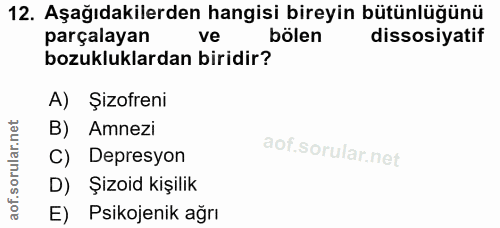 Soru 12