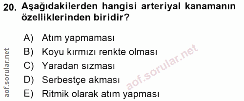 Soru 20