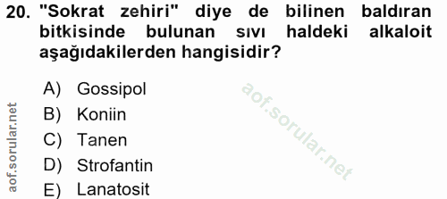 Soru 20
