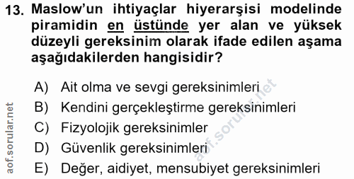 Soru 13
