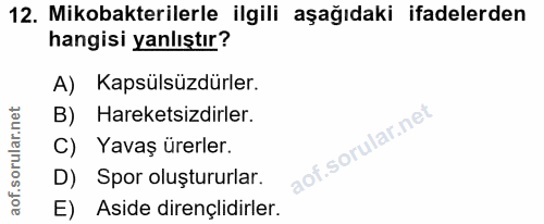 Soru 12