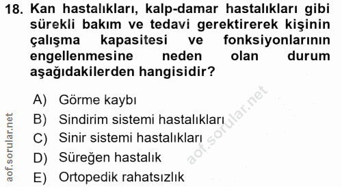 Soru 18