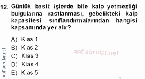 Soru 12