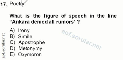Soru 17