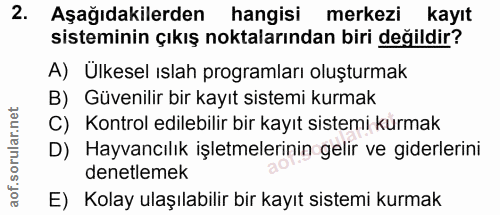Soru 2