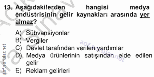 Soru 13