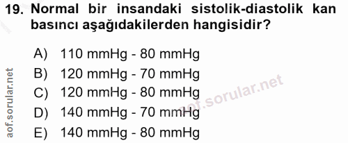 Soru 19