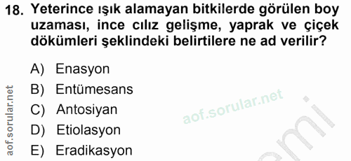 Soru 18