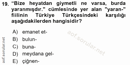 Soru 19