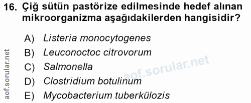 Soru 16