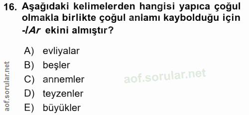 Soru 16
