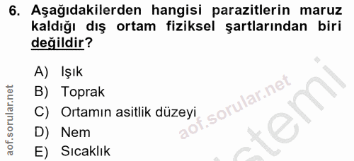 Soru 6