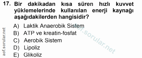 Soru 17