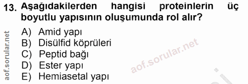 Soru 13