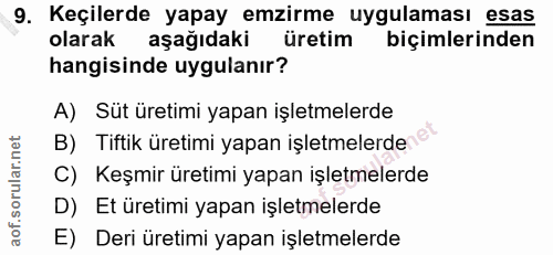 Soru 9