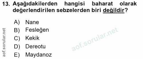 Soru 13