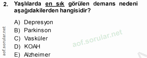 Soru 2