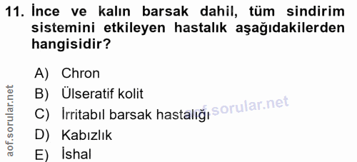 Soru 11