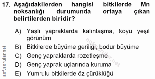 Soru 17
