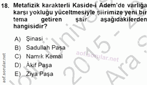 Soru 18