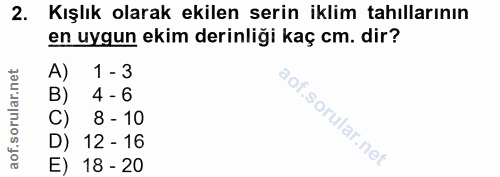 Soru 2