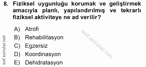 Soru 8