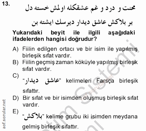 Soru 13