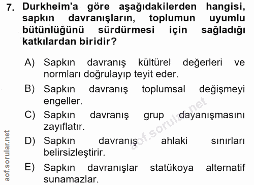 Soru 7