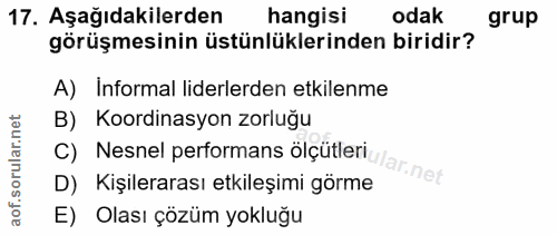 Soru 17
