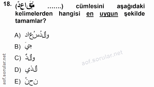 Soru 18