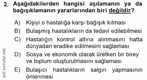 Soru 2