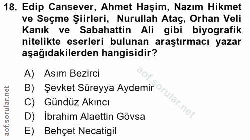 Soru 18