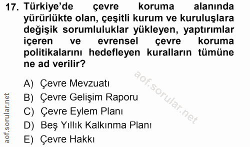 Soru 17