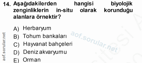 Soru 14