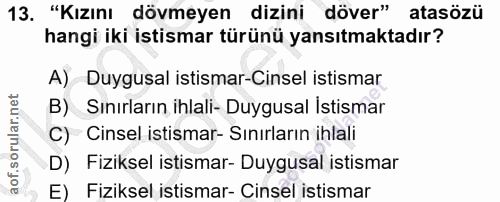 Soru 13